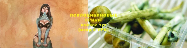 молекула духа Алексеевка