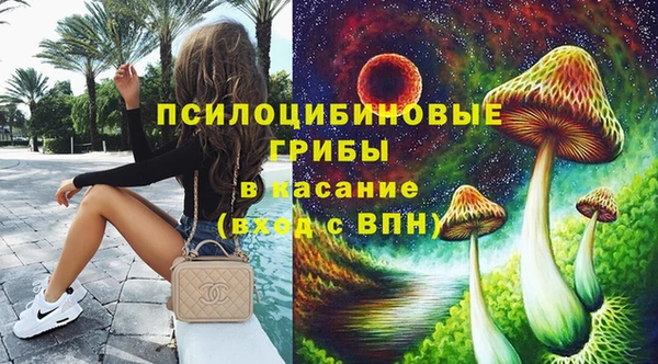 спиды Алексин