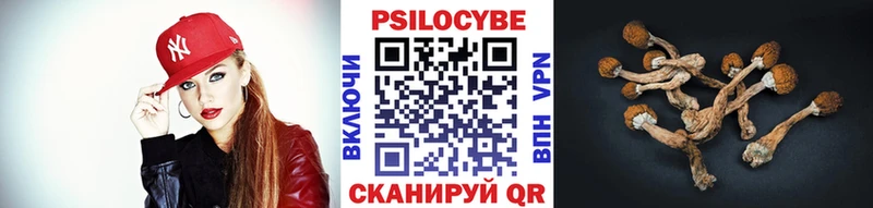 Псилоцибиновые грибы Magic Shrooms  Катав-Ивановск 